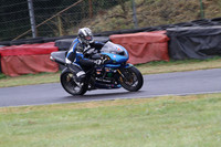 Fowlers 0559