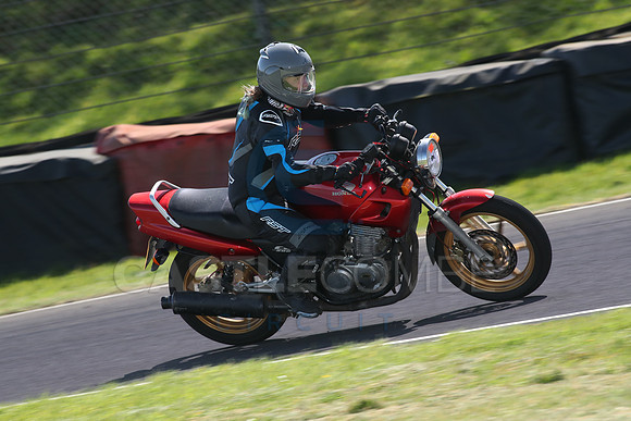 BIKES 1579