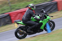 Fowlers 0684