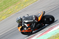 Fowlers 0881