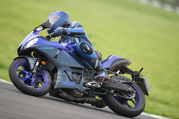 BIKES 1294