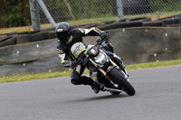 Fowlers 0460