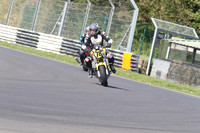 BIKES 1390