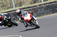 BIKES 0468