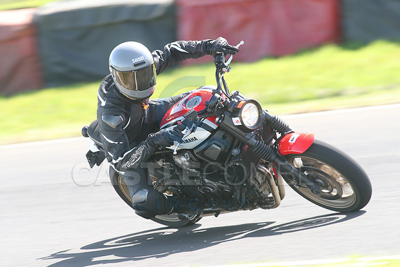 BIKES 1634