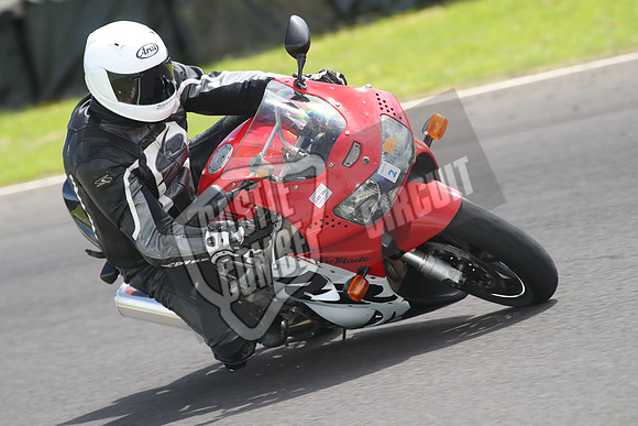 CC Bikes 1385