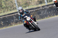 BIKES 0695
