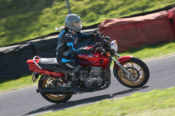 BIKES 1598
