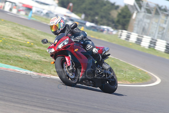 BIKES 1379