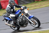 Fowlers 0584