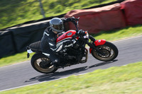 BIKES 1604
