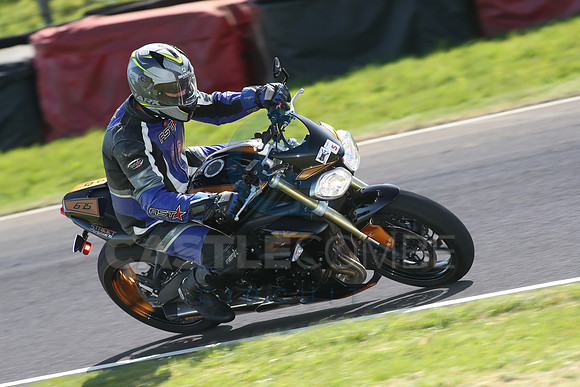 BIKES 1628