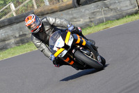 Fowlers 0485
