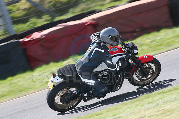BIKES 1584