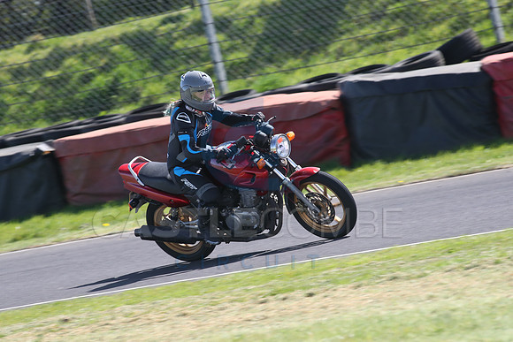 BIKES 1597