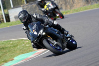 BIKES 0738