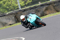 Fowlers 0664