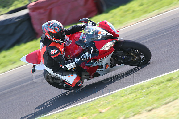 BIKES 2009