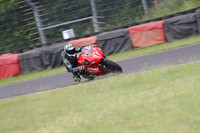 BIKES 1175