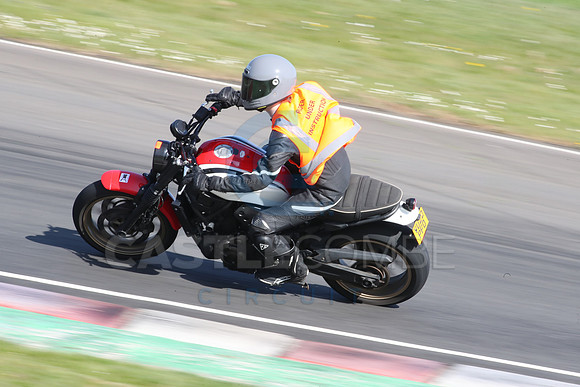 BIKES 2134