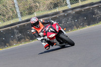 BIKES 0565