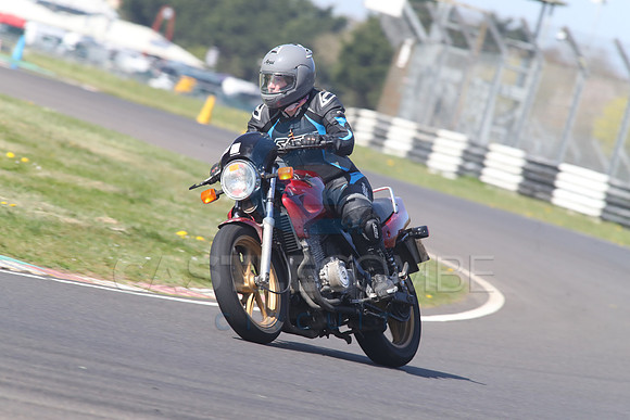 BIKES 1366