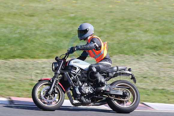 BIKES 2124