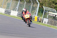 BIKES 1397
