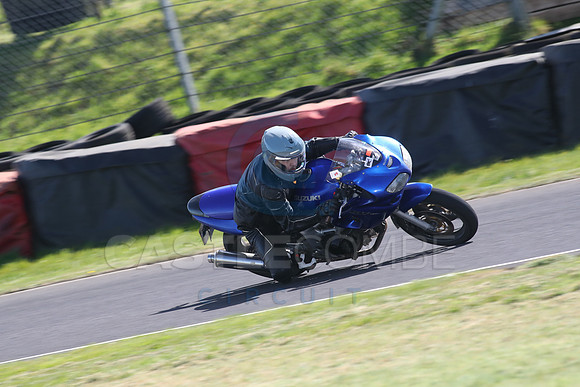 BIKES 1606