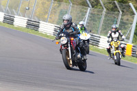 BIKES 1365