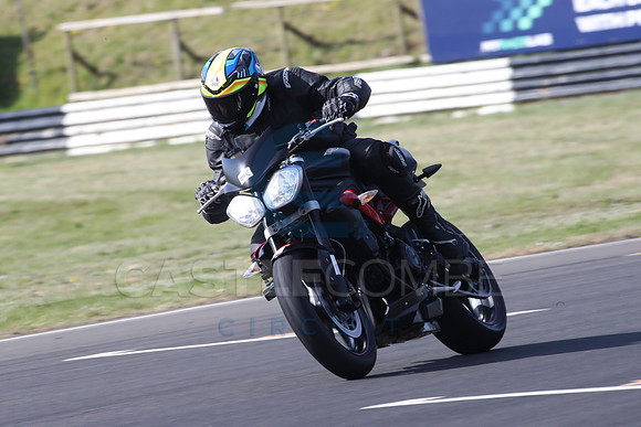 BIKES 0388
