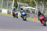BIKES 1360