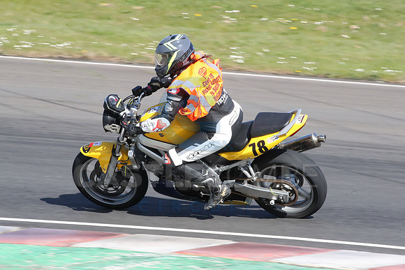 BIKES 2085