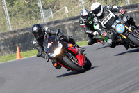 BIKES 0597