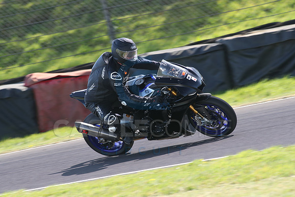 BIKES 1667