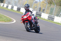 BIKES 1386