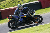 BIKES 1617