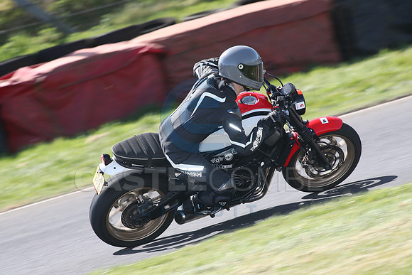 BIKES 1605