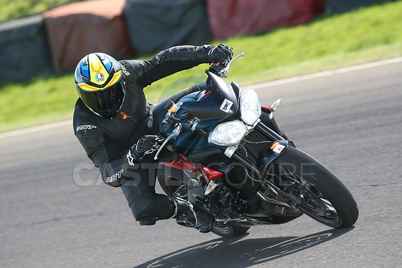 BIKES 1736