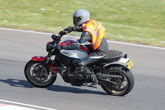 BIKES 2099