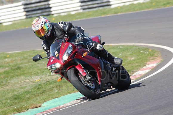 BIKES 0647