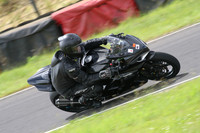 Fowlers 0686
