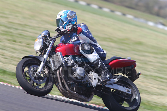BIKES 1443