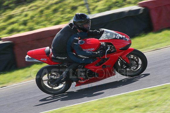 BIKES 1616