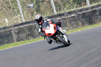 BIKES 0428