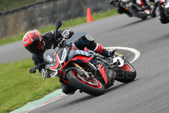 BIKES 0573