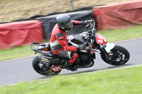 Fowlers 0656