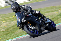 BIKES 0739