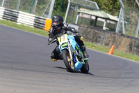 BIKES 1343