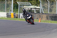 BIKES 1309
